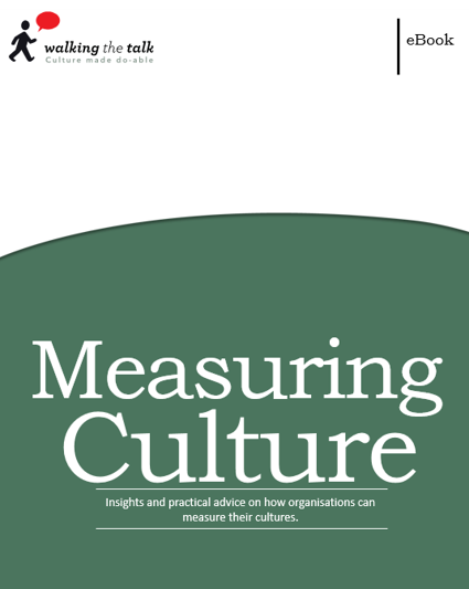 Measuring Culture ebook